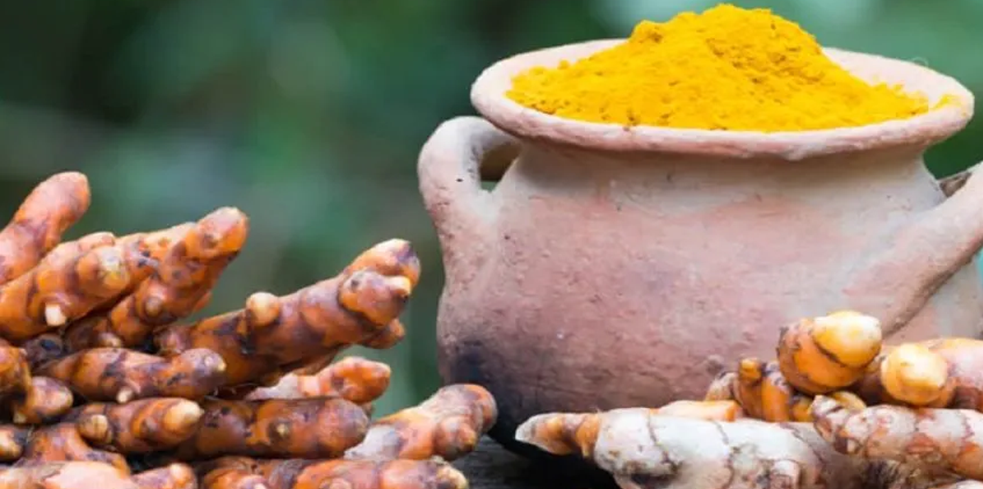 Kandungan Temulawak Menurut Guru Besar UNAIR